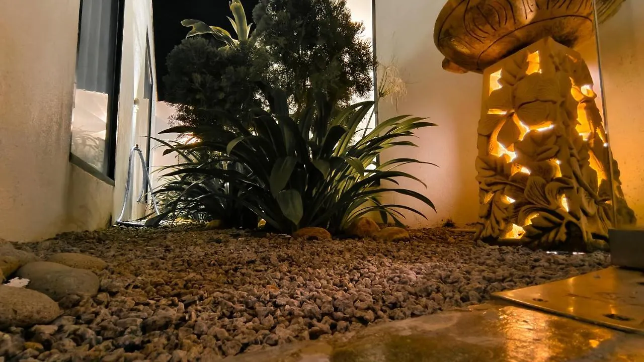 Beds In Garden Hostel Ipoh Malaysia