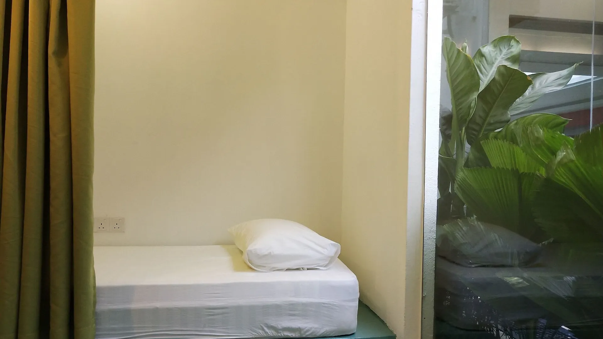 Beds In Garden Hostel Ipoh